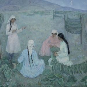 Meet your Posher, Hema